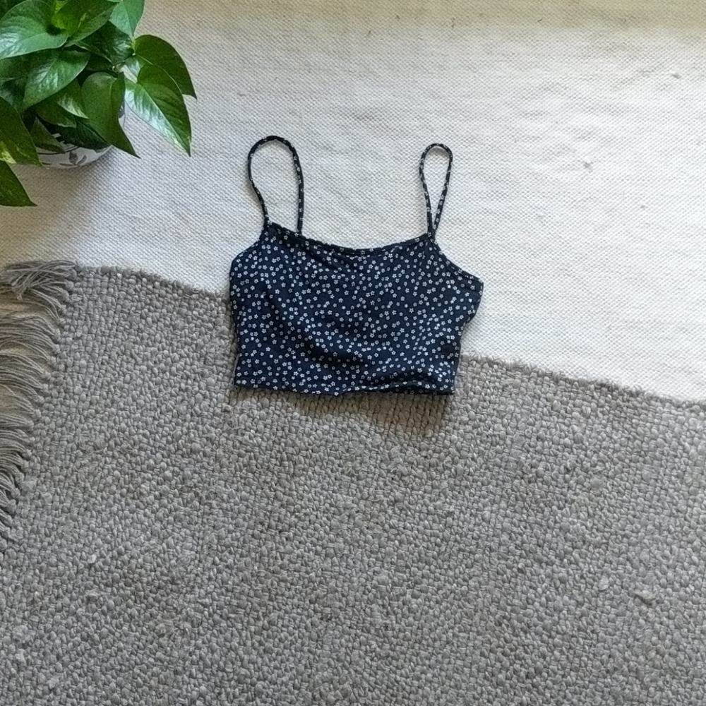 daisy crop